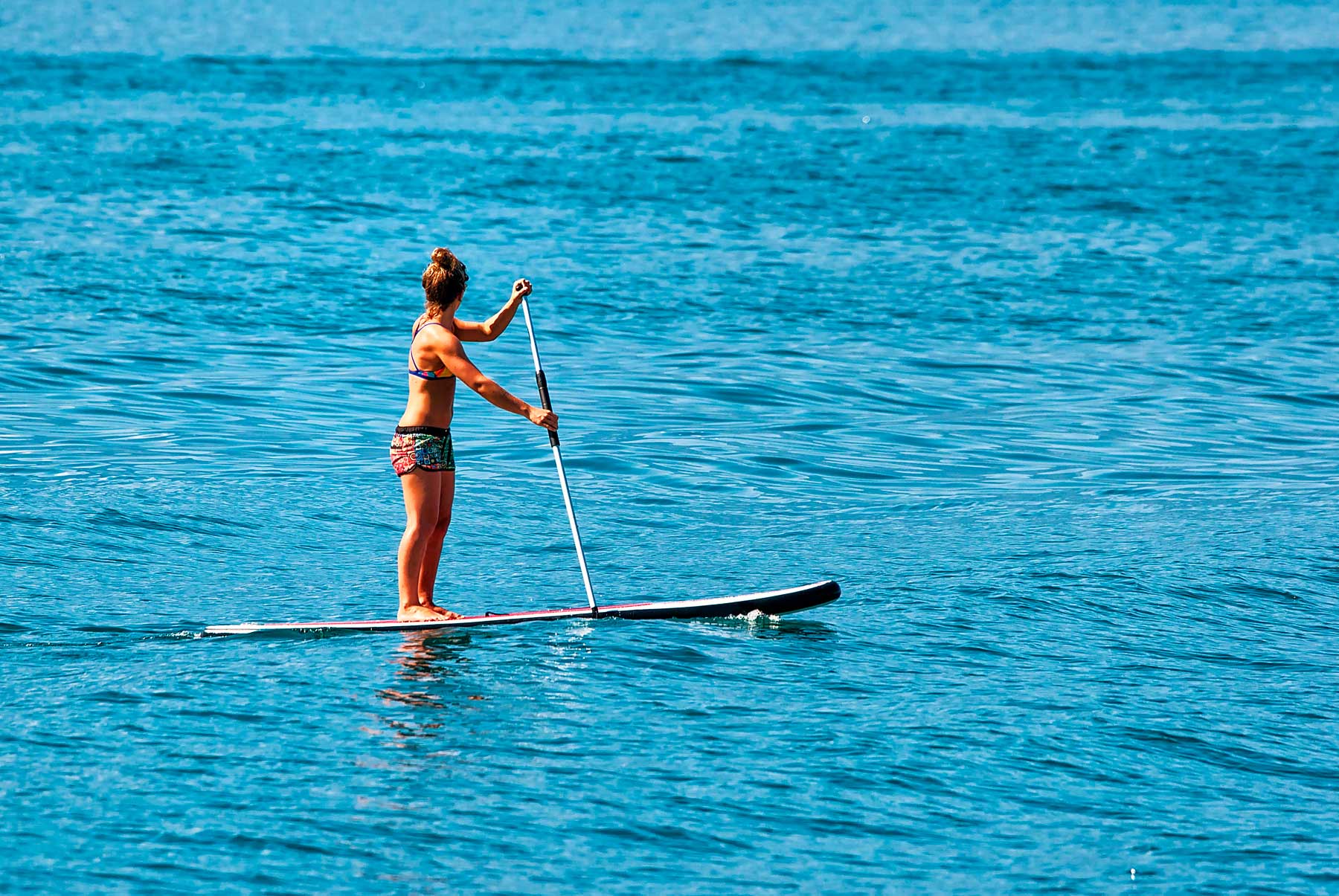 Springwater Hill - Columbia Lake activities - Paddleboarding